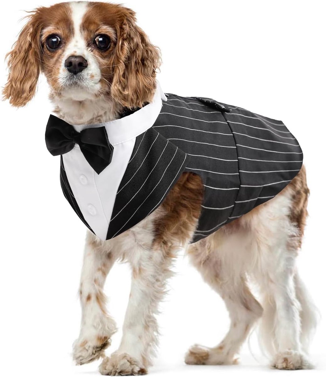 Hondenshirt Puppy Hondenkleding Mode Pak Smoking Vlinderhemd met Stropdas Hond Bruiloft Vlinderdas Pak voor Bruiloftsfeest Halloween Kerstmis Festival Partij(Gestreept, M)