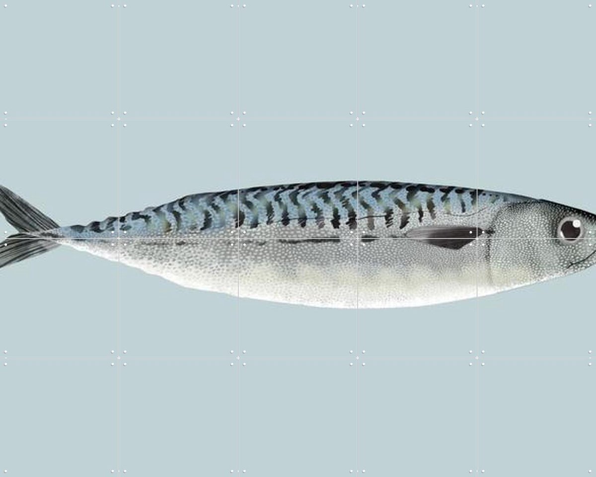 IXXI Mackerel, Merel Corduwener - 100 x 80 cm - Gratis ophangtool - Grote wanddecoratie en posters - Illustraties, Keuken, Woonkamer, Eetkamer