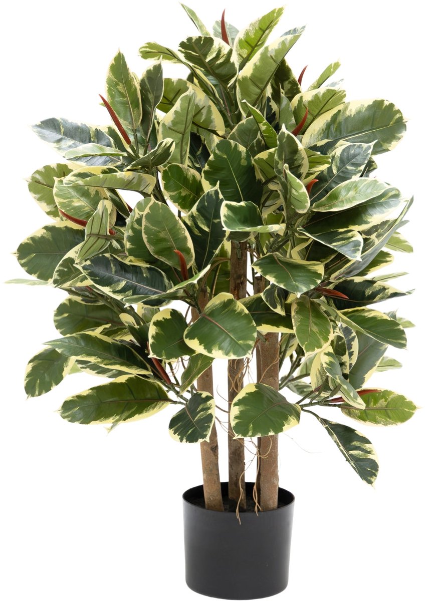 Ficus Elastica Kunstplant 90cm