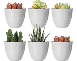 Youngever Set of 10 Small 8cm Plastic Planters Indoor Grey Garden Pot with Drainage for All Houseplants Flowers Herbs - ShopVlot