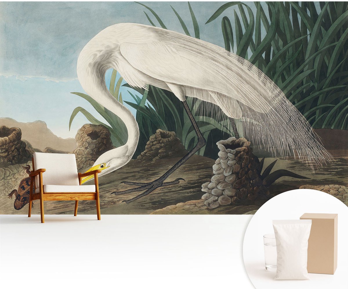 Wallfluent Fotobehang - Wit Vliesbehang - 416x254 cm - Majestueuze Reiger Fotobehang Vlies - Hal behang Dieren - Muurschildering - Hal behang