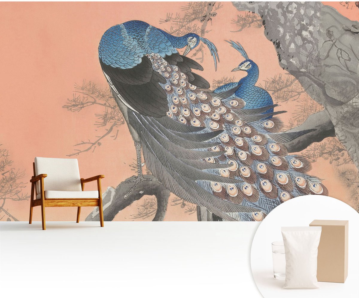 Wallfluent Fotobehang - Oranje Vliesbehang - 416x254 cm - Pauwenelegantie Muurschildering - Slaapkamer behang Dieren - Fotobehang Vlies - Slaapkamer behang