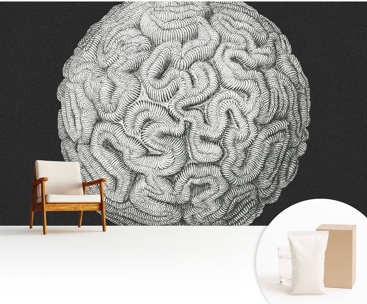 Wallfluent Fotobehang - Zwart Vliesbehang - 416x254 cm - Bolvormige Structuur Fotobehang Vlies - Hal behang Abstractie - Muurschildering - Woonkamer behang
