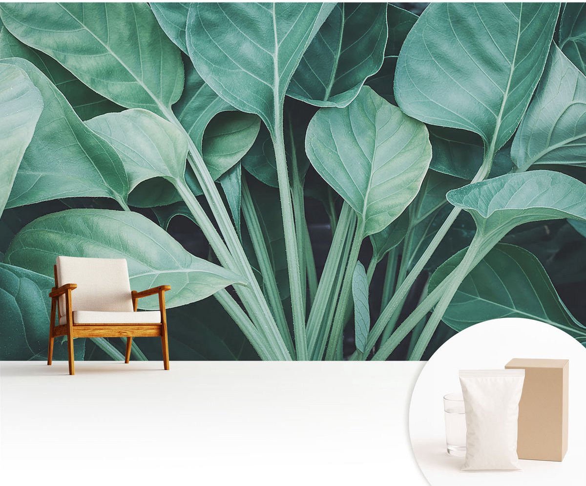 Wallfluent Fotobehang - Groente Vliesbehang - 416x254 cm - Groene Natuur Fotobehang Vlies - Hal behang Bloemen En Planten - Muurschildering - Woonkamer behang