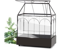 Mini broeikas glas 24,2 x 14,7 x 29 cm, met opvangbak Plantenterrarium kleine flessentuin DIY voor vetplanten, cactussen (geen planten inbegrepen)
