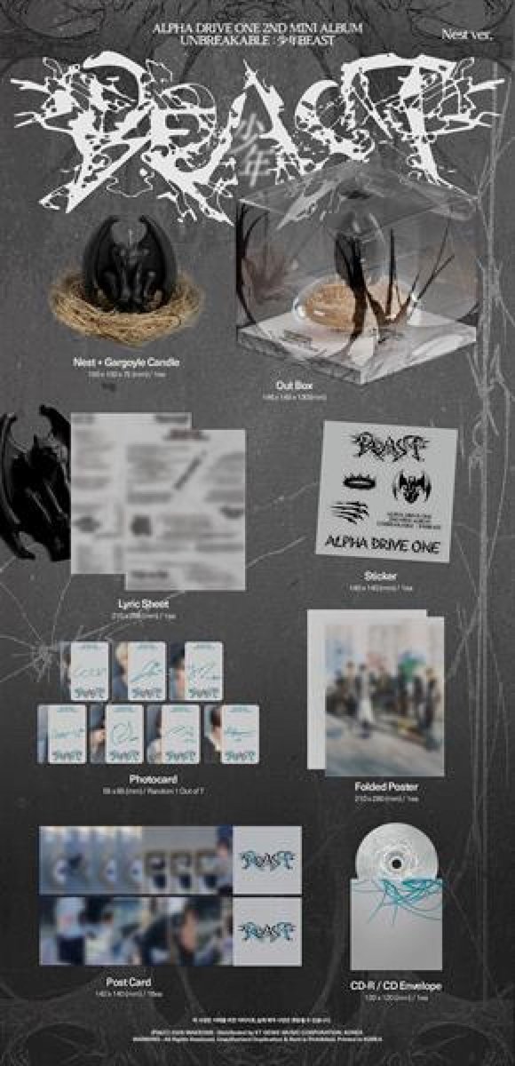 Unbreakable: 少年 Beast