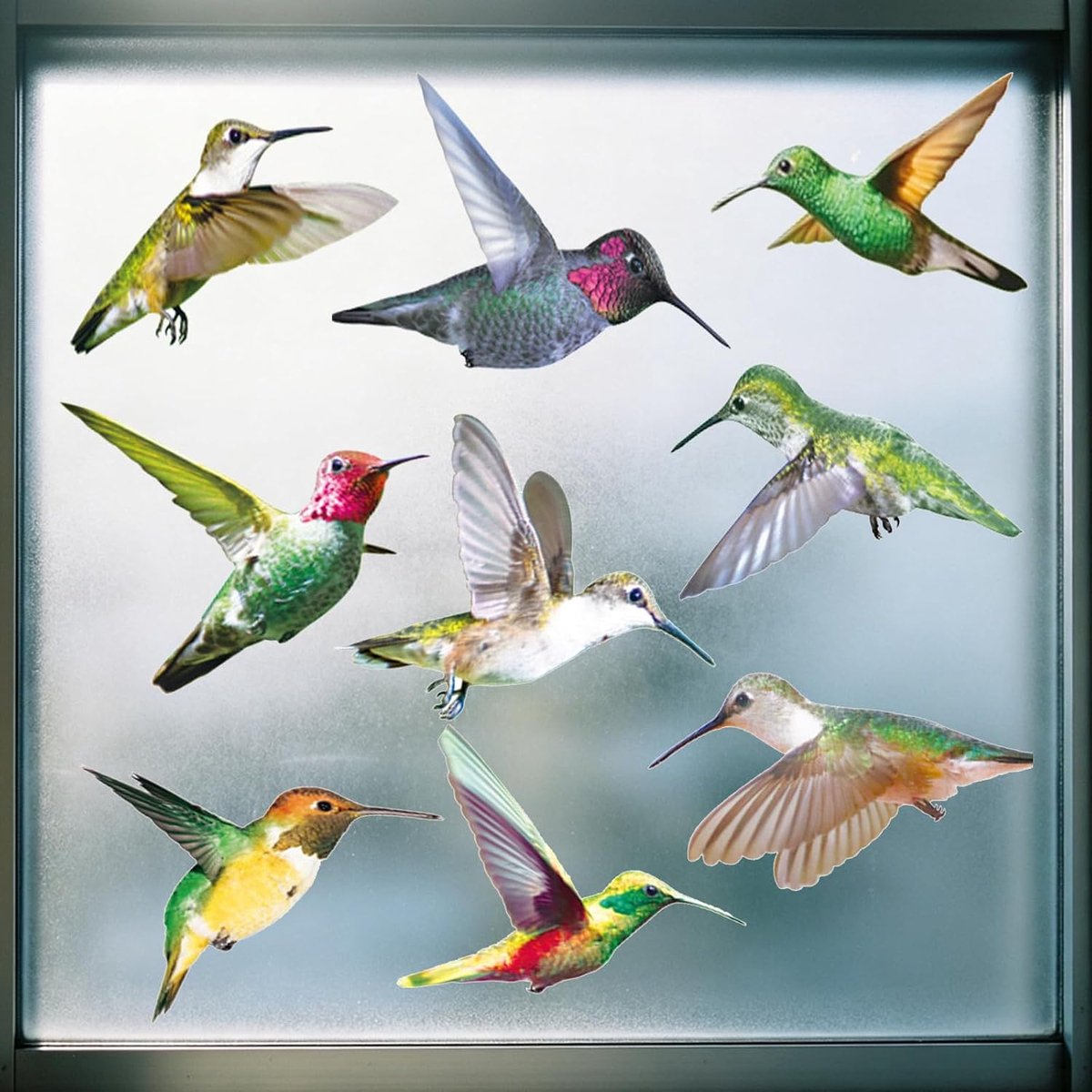 Hummingbird stickers 9pcs - PVC anti-collision - Vivid colors - Bescherming tegen vogelbotsingen - ShopVlot