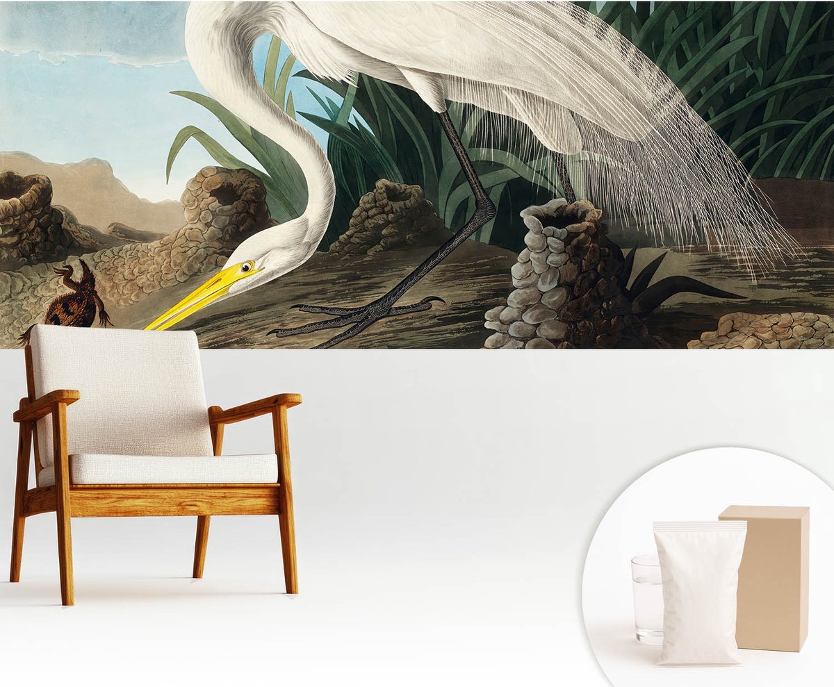 Wallfluent Fotobehang - Wit Vliesbehang - 250x104 cm - Majestueuze Reiger Fotobehang Vlies - Hal behang Dieren - Muurschildering - Hal behang