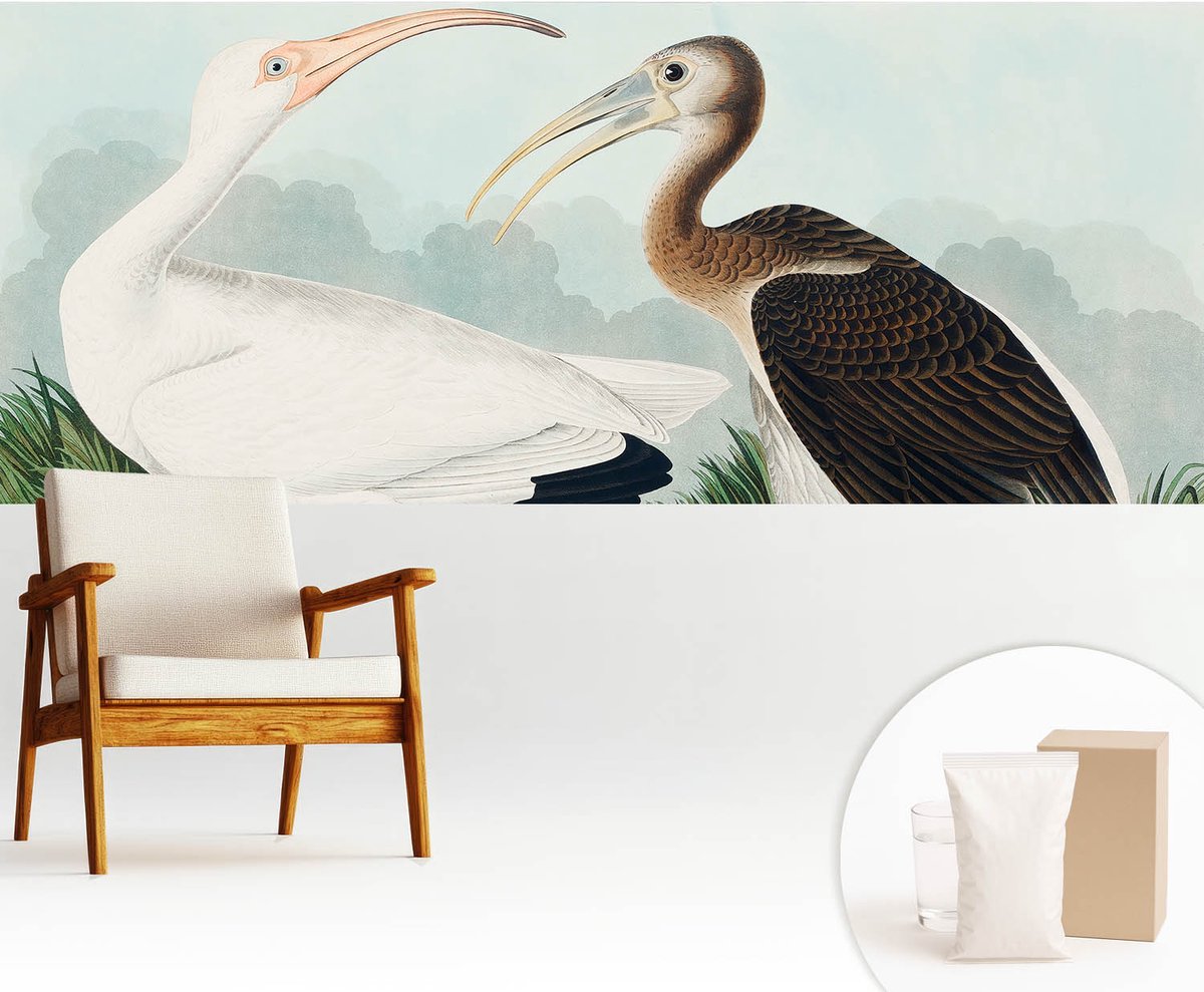 Wallfluent Fotobehang - Wit Vliesbehang - 250x104 cm - Vogelpaar Muurschildering - Slaapkamer behang Dieren - Fotobehang Vlies - Slaapkamer behang