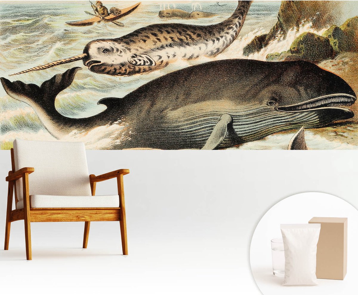 Wallfluent Fotobehang - Wit Vliesbehang - 250x104 cm - Zeereuzen Muurschildering - Gang behang Dieren - Fotobehang Vlies - Slaapkamer behang
