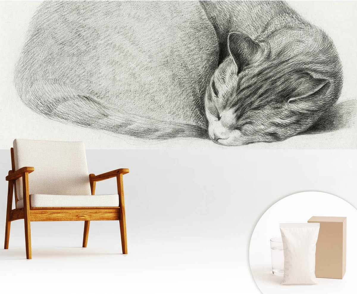 Wallfluent Fotobehang - Grijs Vliesbehang - 250x104 cm - Opgerolde Kat Muurschildering - Slaapkamer behang Dieren - Fotobehang Vlies - Gang behang