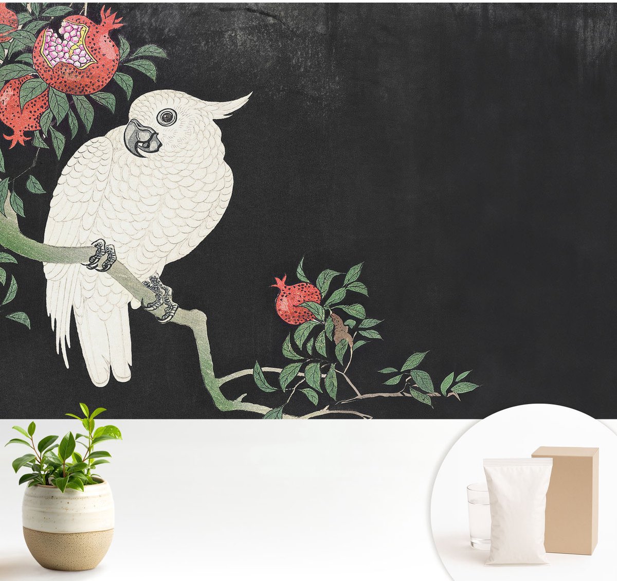 Wallfluent Fotobehang - Zwart Vliesbehang - 104x70 cm - Granaatappelpapegaai Muurschildering - Slaapkamer behang Dieren - Fotobehang Vlies - Slaapkamer behang