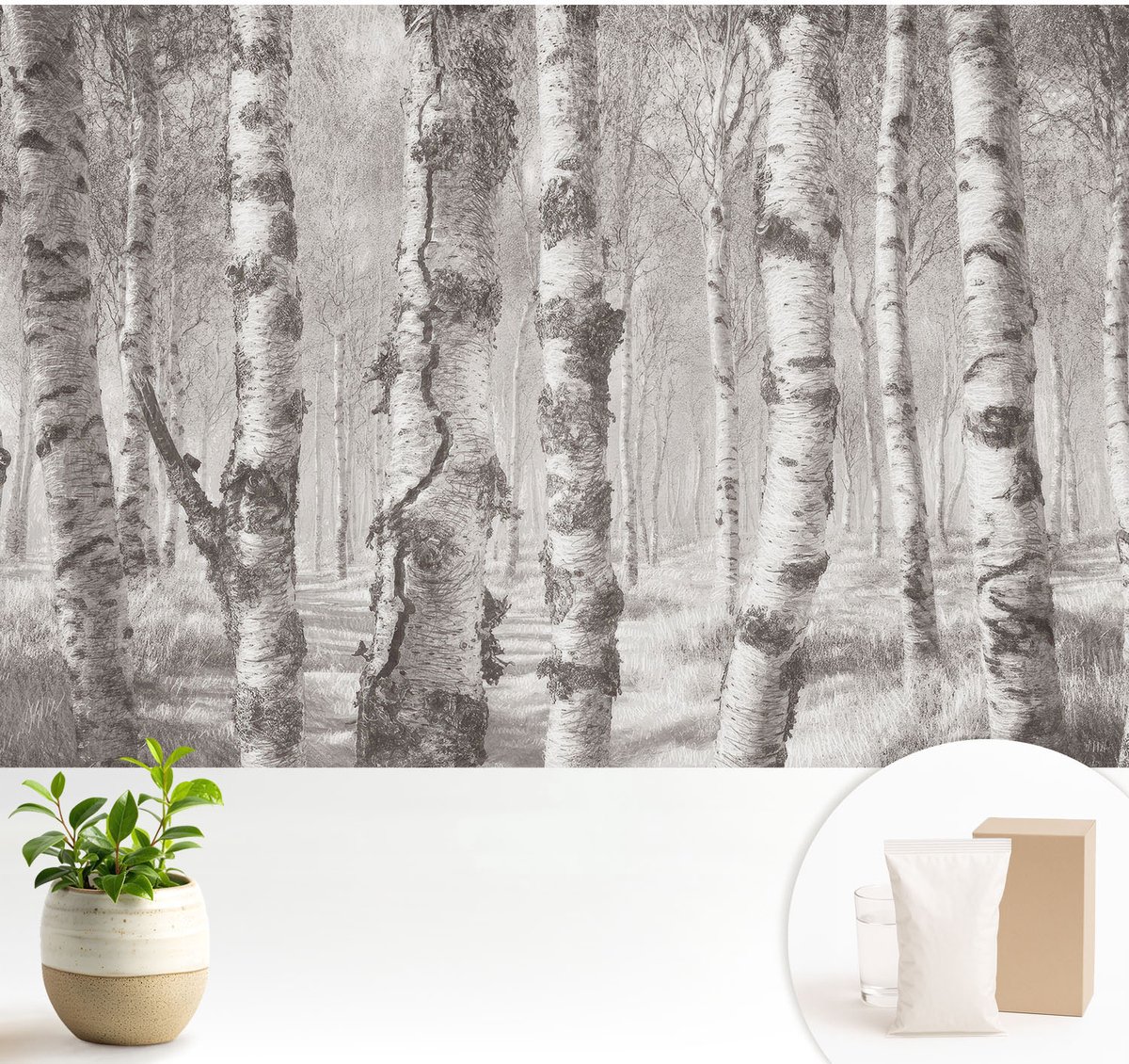Wallfluent Fotobehang - Grijs Vliesbehang - 104x70 cm - Berkenbos Fotobehang Vlies - Hal behang Landschappen - Muurschildering - Woonkamer behang