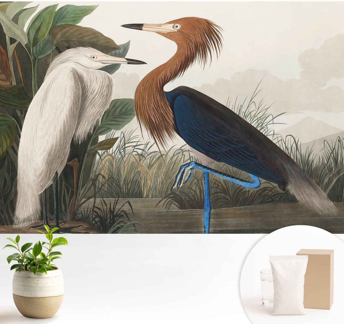 Wallfluent Fotobehang - Groente Vliesbehang - 104x70 cm - Vogels In Planten Fotobehang Vlies - Hal behang Dieren - Muurschildering - Woonkamer behang