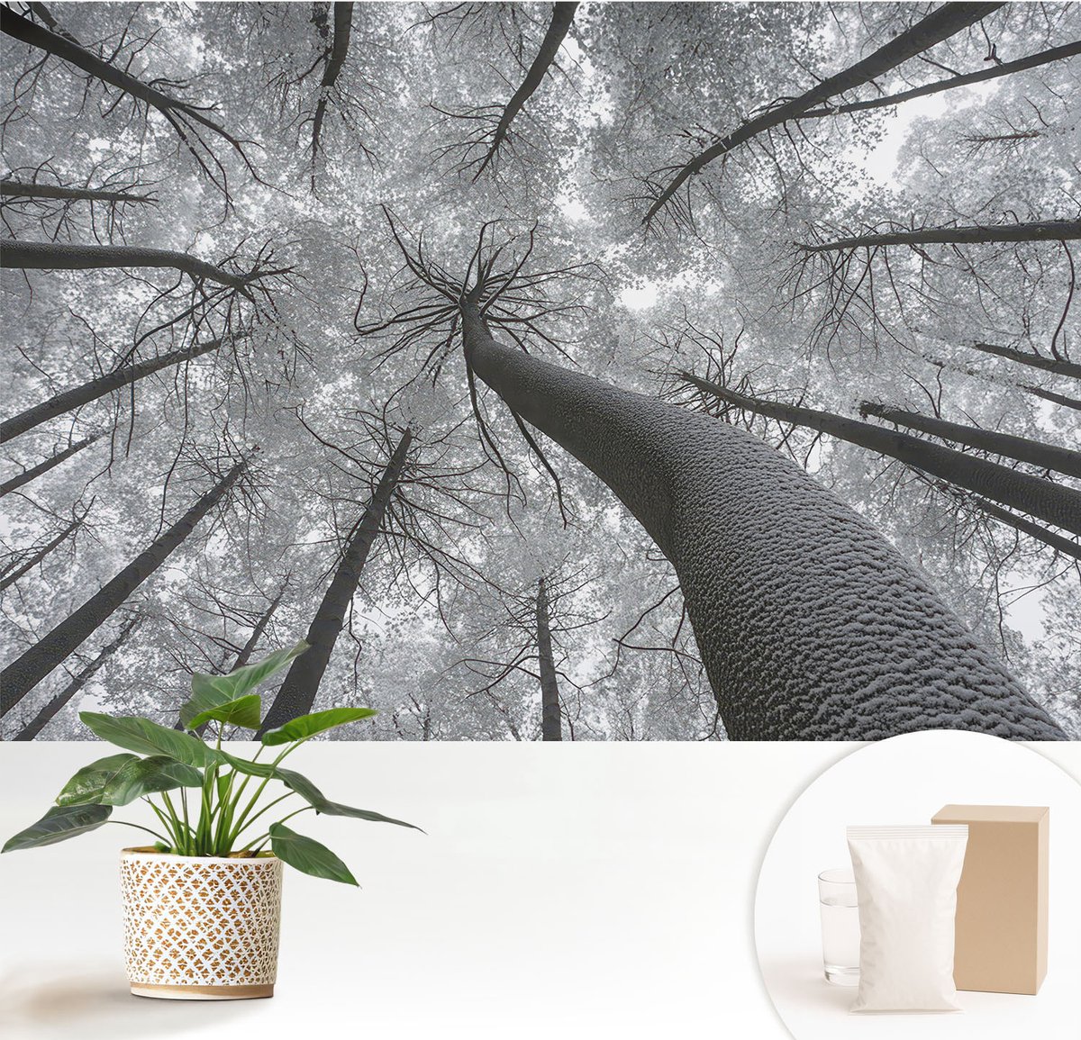 Wallfluent Fotobehang - Zwart-Wit Vliesbehang - 152x104 cm - Winterlandschap Muurschildering - Gang behang Landschappen - Fotobehang Vlies - Gang behang