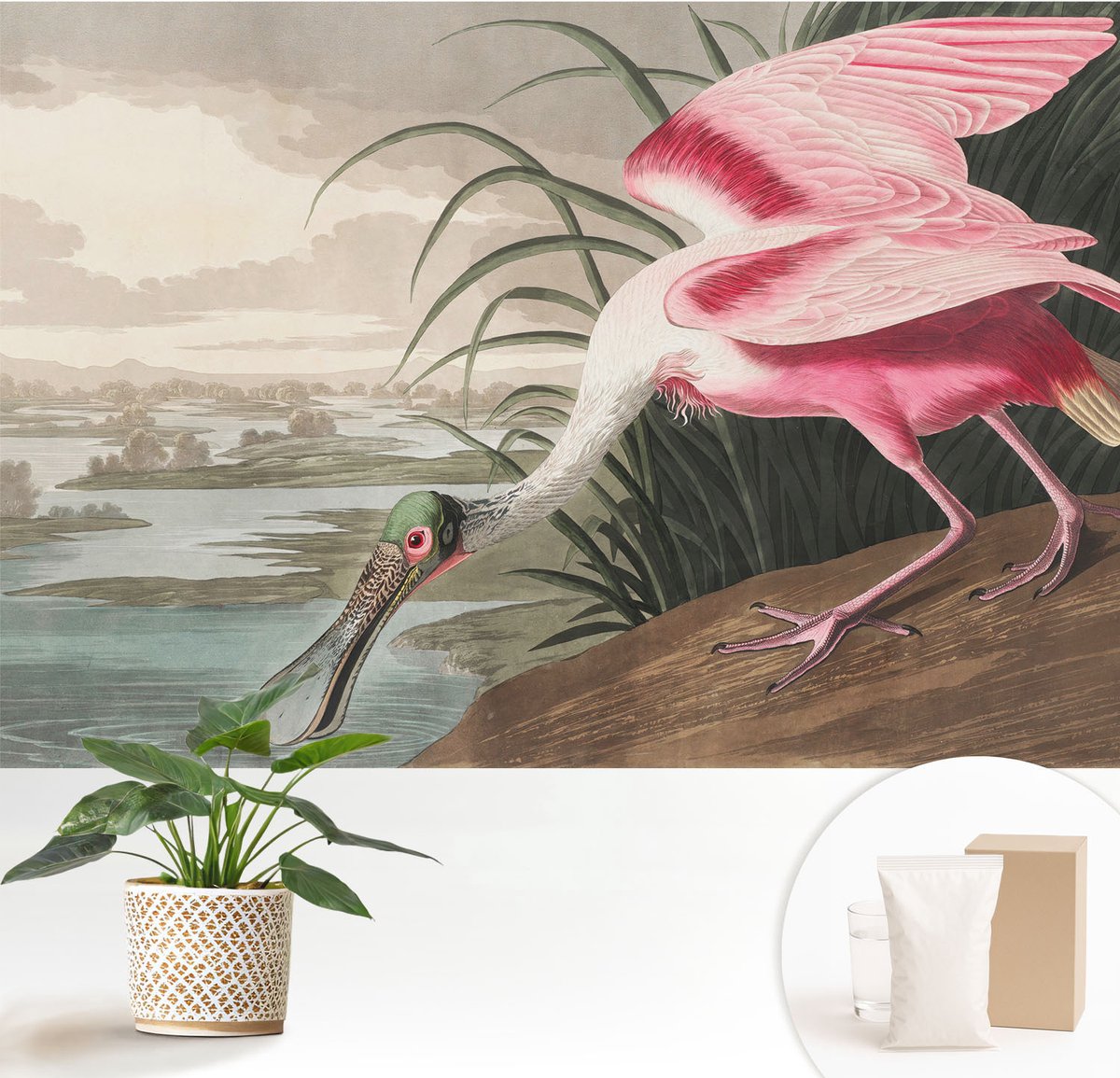 Wallfluent Fotobehang - Grijs Vliesbehang - 152x104 cm - Exotische Vogel Muurschildering - Slaapkamer behang Dieren - Fotobehang Vlies - Gang behang