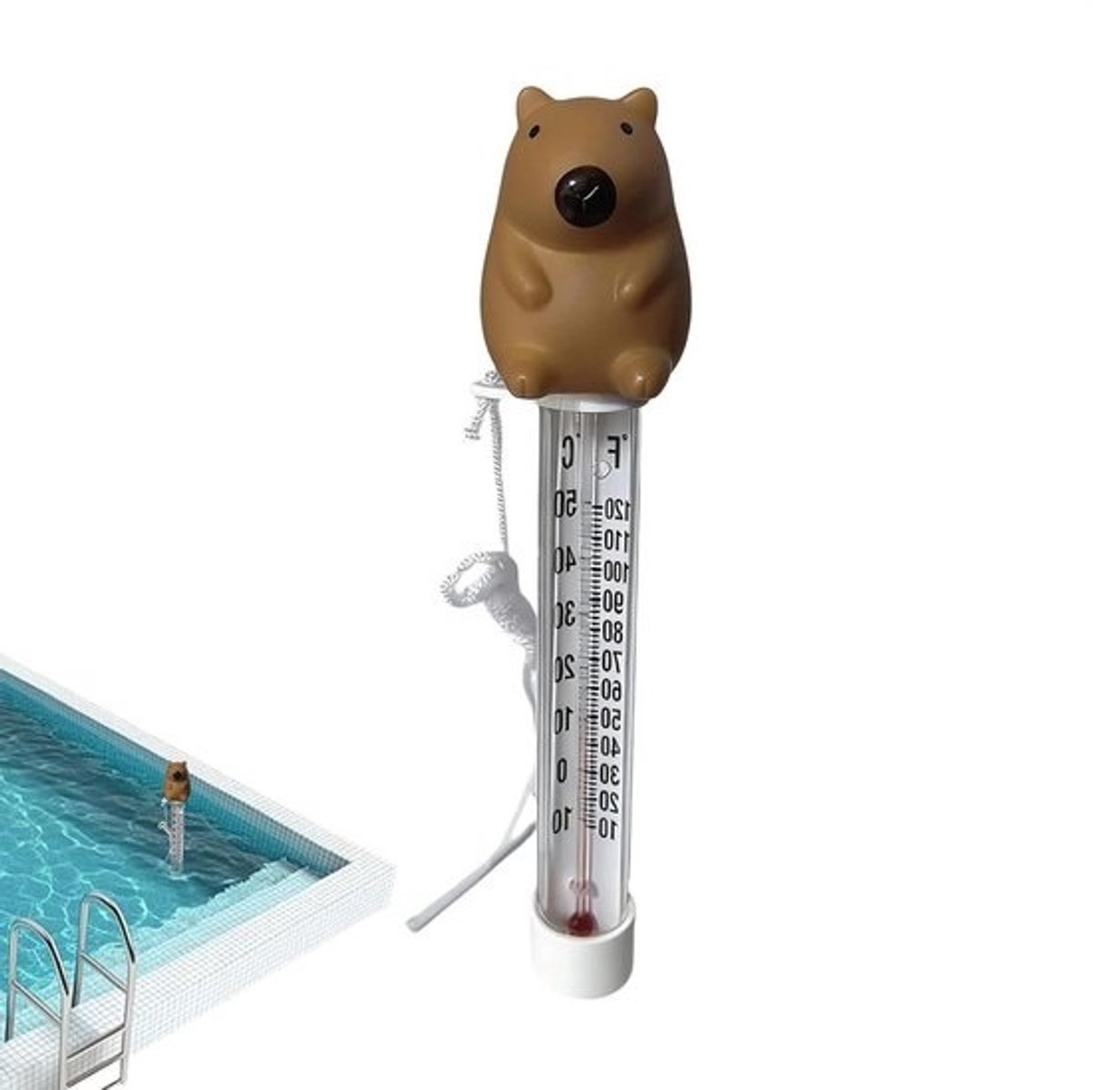 Drijvende zwembadthermometer - Watermeter voor bad - Temperatuur meten - Vrolijk design - 22 cm lengte - Multicolor