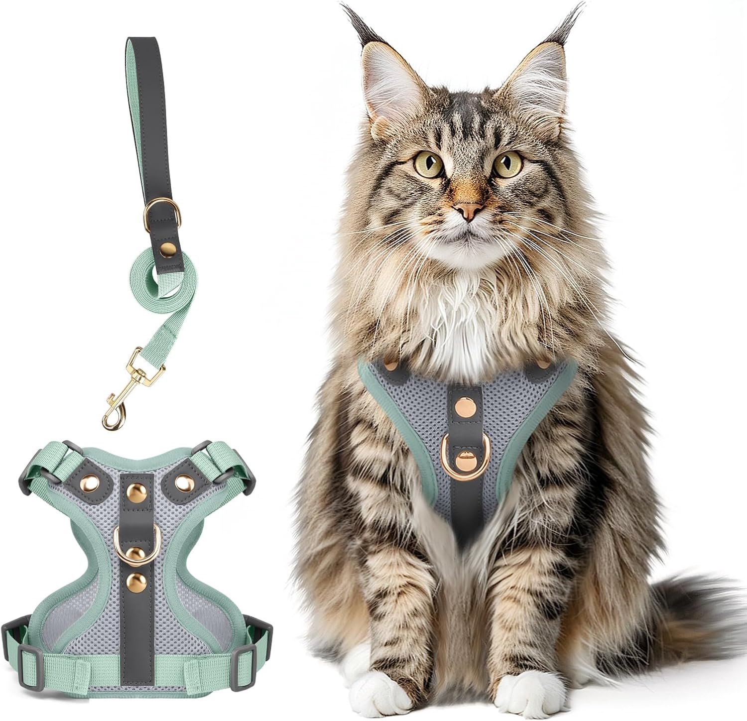 Kattengroot met riem, lederen vest, lichtgrijs + groen, L