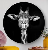 HIP ORGNL Schilderij Giraf - ⌀60cm - Wandcirkel dieren - Zwart wit