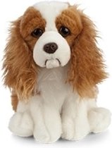 Pluche bruine Spaniel hond knuffel 20 cm - Honden huisdieren knuffels - Speelgoed voor kinderen