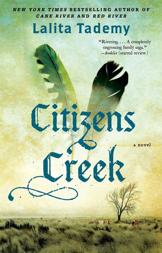 citizens creek by lalita tademy