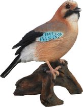 Statue animalière Jay bird 16 cm décoration d'intérieur - Statues d'oiseaux Jay - Décoration de jardin / accessoires pour la maison statues d'animaux