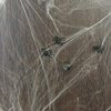 Halloween Decoratie spinnenweb 20 gram