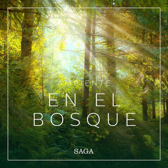 Ambiente - En el bosque - cover