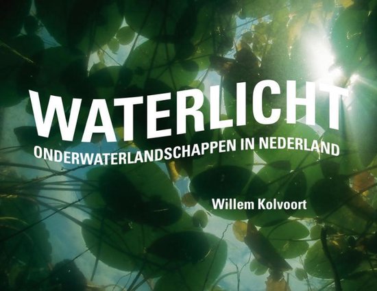 Cover van het boek 'Waterlicht' van Marten Scheffer