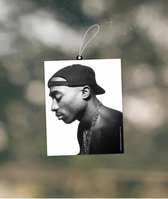 COOL&FAMOUS AIRFRESHENER 2PAC CAP