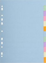 25x Tabbladen gerecycleerd karton 170g - 12 tabs - A4