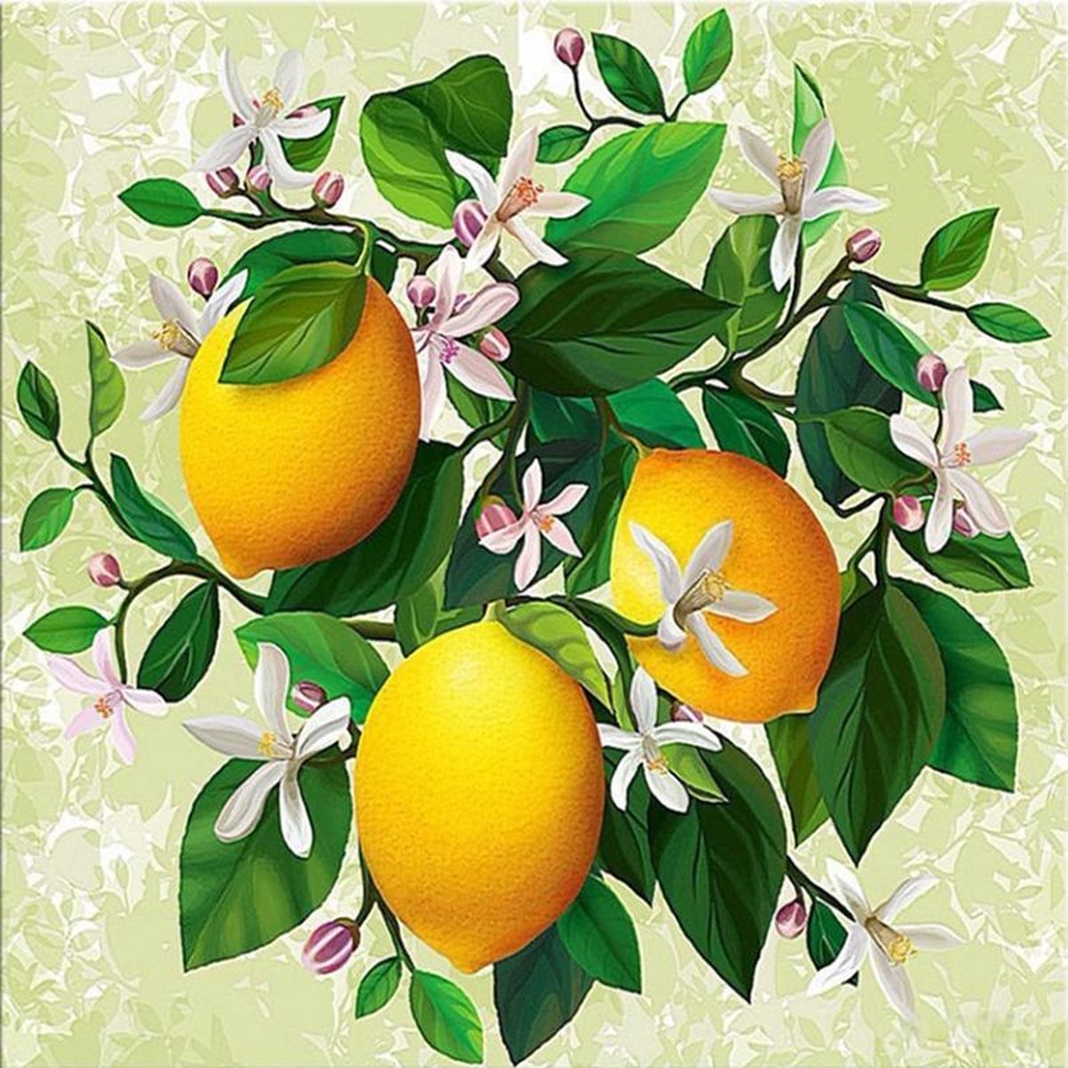 Diamond painting - Citroenen - 40x30cm