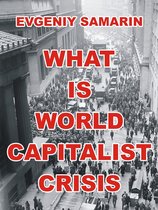 What Is World Capitalist Crisis
