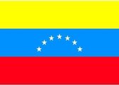 10x Binnen en buiten stickers Venezuela 10 cm - Venezolaanse vlag stickers - Supporter feestartikelen - Landen decoratie en versieringen