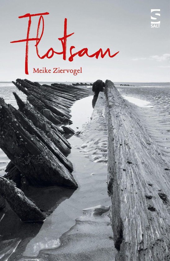 Flotsam (ebook), Meike Ziervogel 9781784631796 Boeken