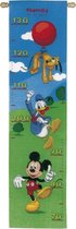 Disney Mickey, Donald & Pluto op pad Telpakket