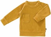 Fresk sweater velours Mimosa