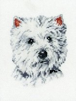Pako borduurpakket  witte hond 210.851