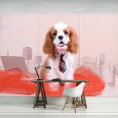 Fotobehang Vlies | Hond | Bruin, Rood | 368x254cm (bxh)