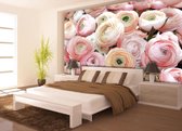Flowers Peonies Colours Photo Wallcovering