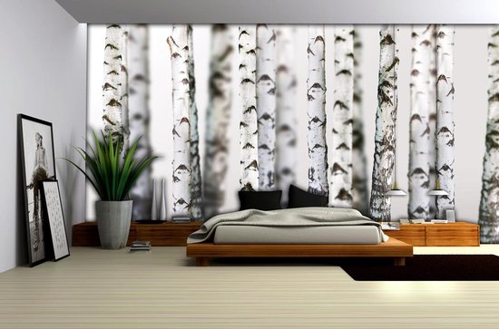 gris | Photomural blanc, revêtement mural