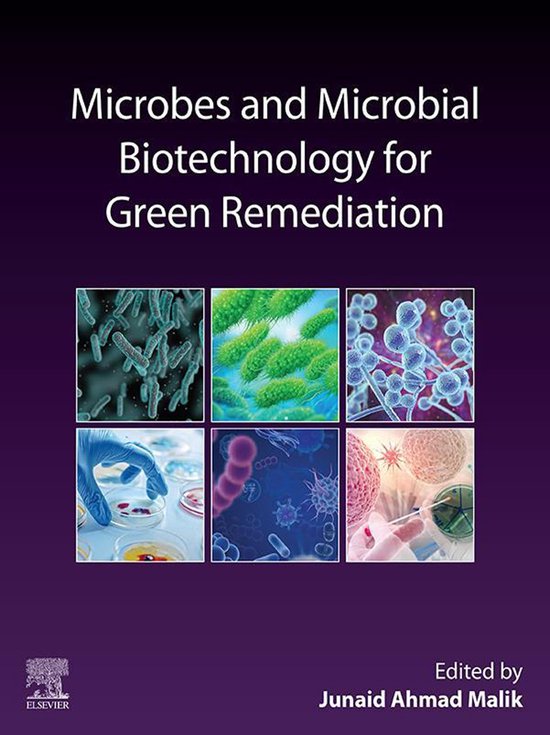 Microbes and Microbial Biotechnology for Green Remediation - cover