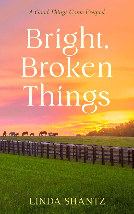 Good Things Come 0.5 - Bright, Broken Things - cover