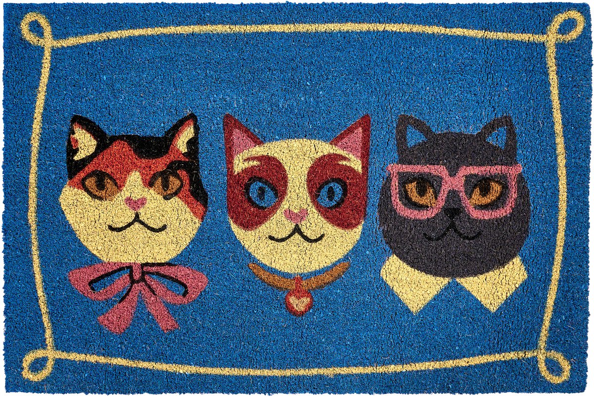 Beliani MOJICAP - Deurmat - Meerkleurig - 60 x 90 cm - Kokos