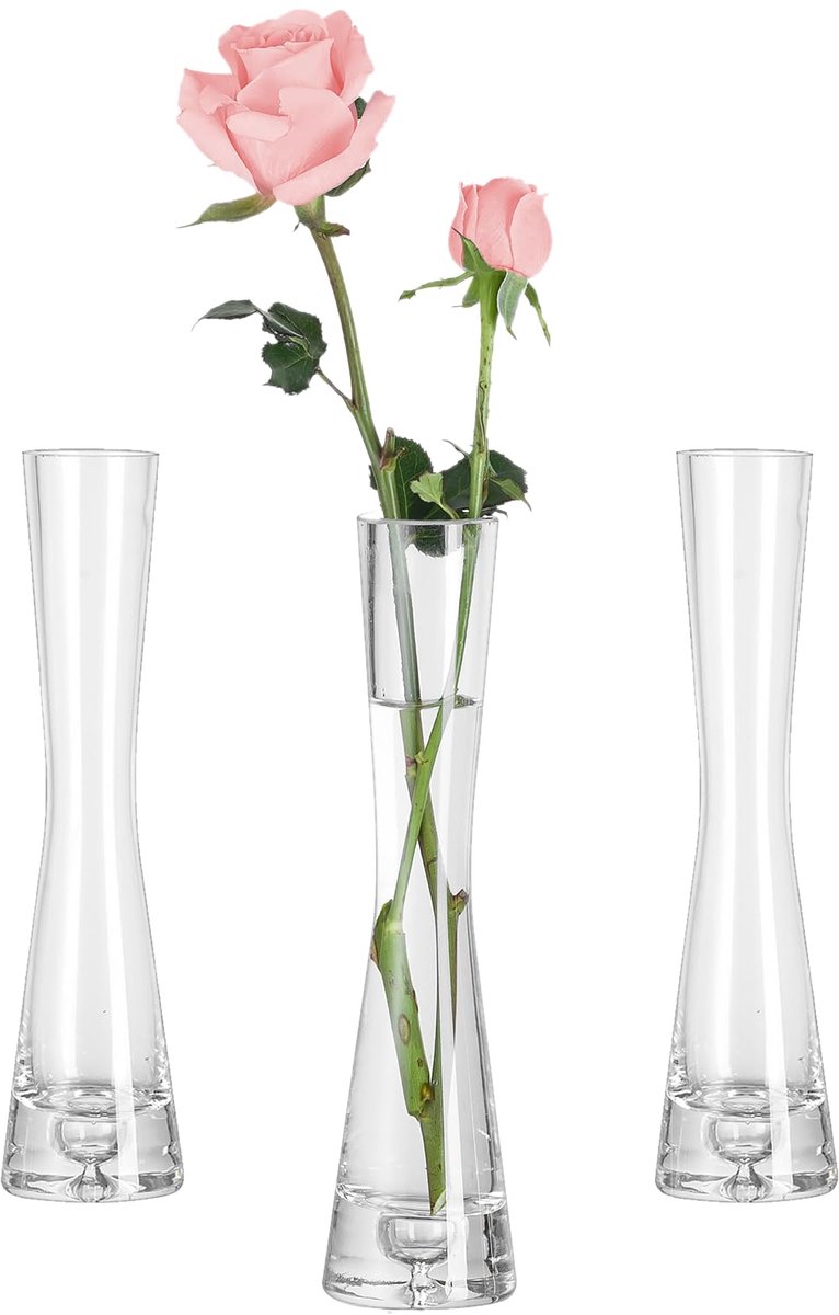 Hewory Bloemenvaas Moderne Set van 3 Glazen Vazen, 20cm Vaas Smalle Vazen Glazen Bloemenva