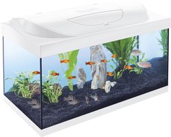 Tetra aquarium Starter Line wit 54 liter 61 x 35 x 31 cm