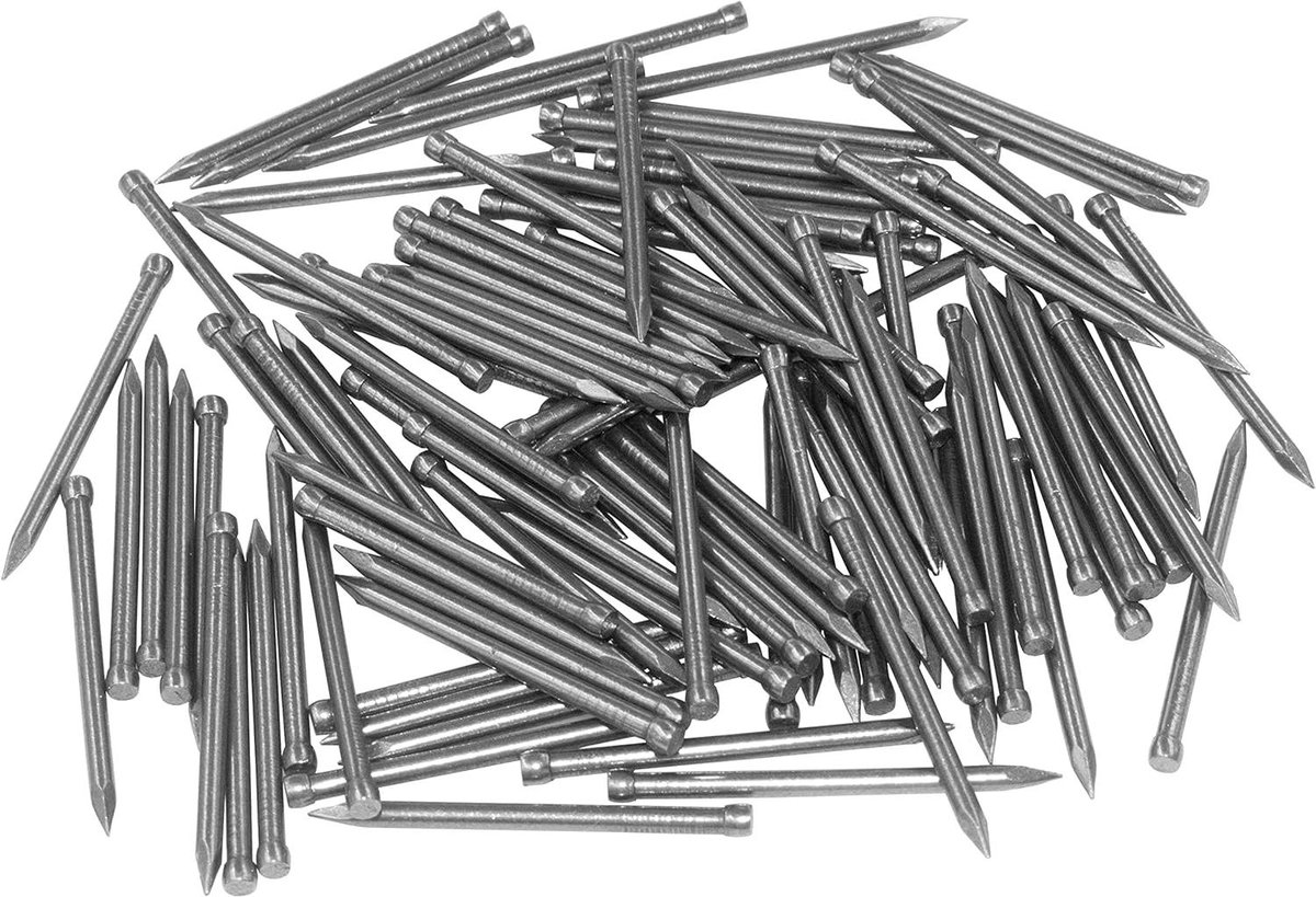 Allecto plus - Koolstalen nagels assortimentset (100 stuks), spijkers voor het ophangen van afbeeldingen en houtbewerking, betonstalen spijkers voor plinten (35 mm)