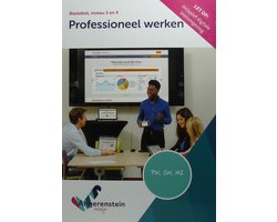 Omslag van Angerenstein Welzijn - Professioneel werken