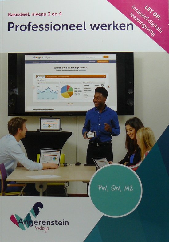 Angerenstein Welzijn - Professioneel werken - cover