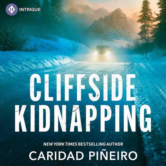 Crooked Pass Security- Cliffside Kidnapping - cover